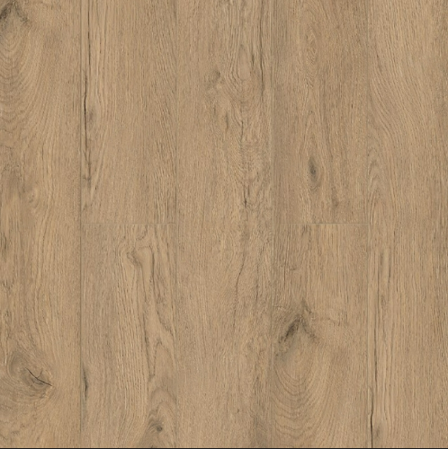 Alida 1022-6