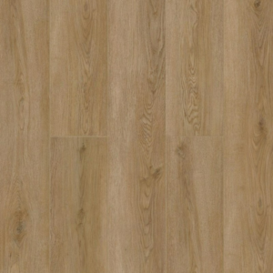 Niky 1001-20