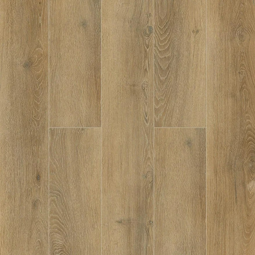 Дуб Франц ABA ECO 7-26