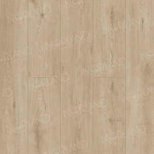Abbi 1006-1