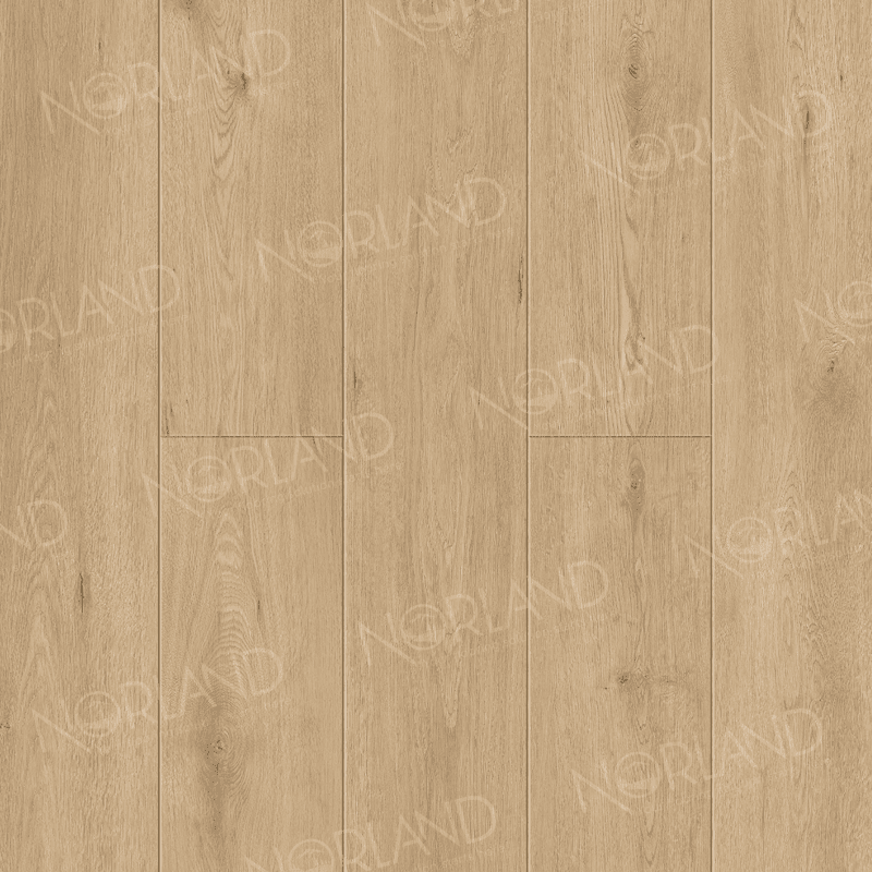 Dor 1006-6